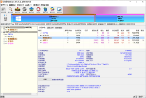 【数据恢复/分区管理】DiskGenius v5.61官网/正版/原版 便携包 【数据恢复/分区管理】DiskGenius v5.61官网/正版/原版 便携包
